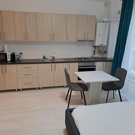 Visaj Residence Temeşvar Dış mekan fotoğraf